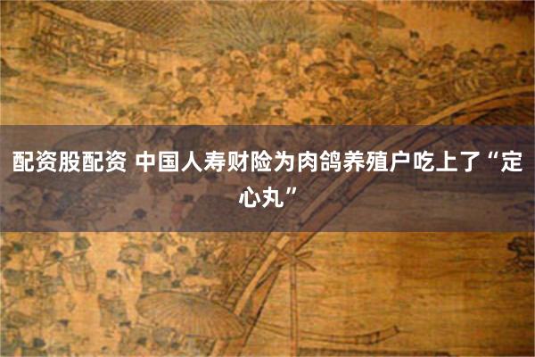 配资股配资 中国人寿财险为肉鸽养殖户吃上了“定心丸”