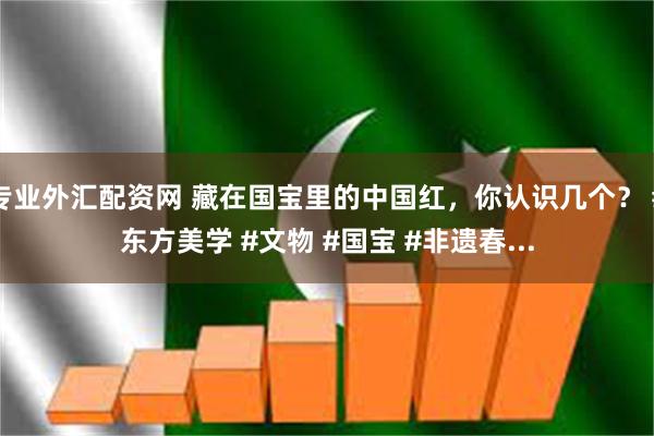 专业外汇配资网 藏在国宝里的中国红，你认识几个？ #东方美学 #文物 #国宝 #非遗春...