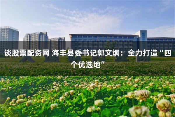 谈股票配资网 海丰县委书记郭文炯：全力打造“四个优选地”