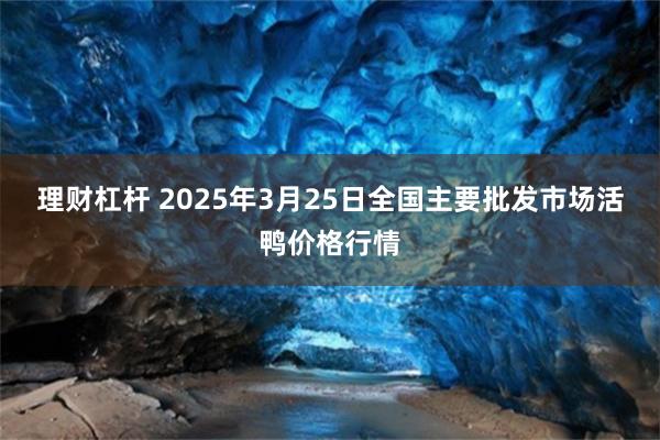 理财杠杆 2025年3月25日全国主要批发市场活鸭价格行情