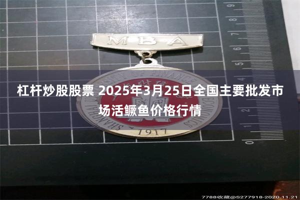 杠杆炒股股票 2025年3月25日全国主要批发市场活鳜鱼价格行情