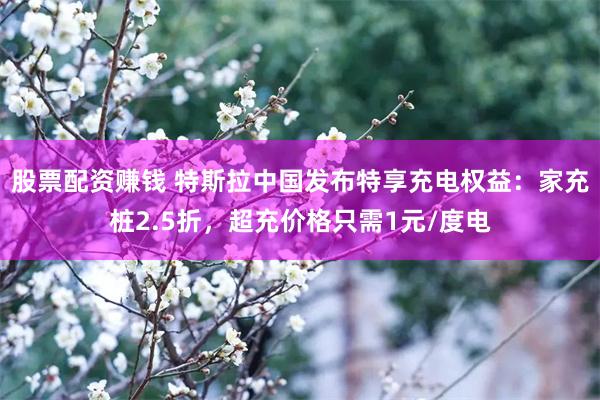 股票配资赚钱 特斯拉中国发布特享充电权益：家充桩2.5折，超充价格只需1元/度电