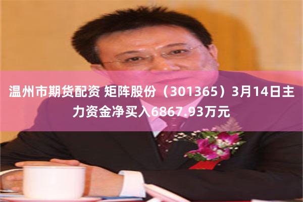 温州市期货配资 矩阵股份（301365）3月14日主力资金净买入6867.93万元
