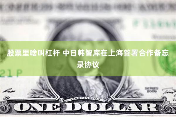 股票里啥叫杠杆 中日韩智库在上海签署合作备忘录协议