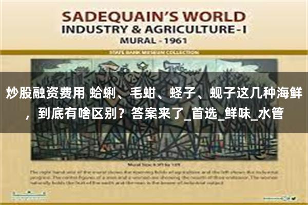 炒股融资费用 蛤蜊、毛蚶、蛏子、蚬子这几种海鲜，到底有啥区别？答案来了_首选_鲜味_水管