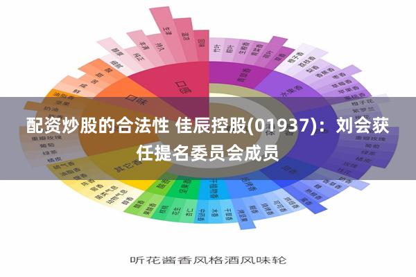 配资炒股的合法性 佳辰控股(01937)：刘会获任提名委员会成员