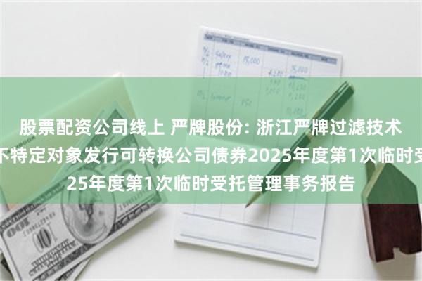 股票配资公司线上 严牌股份: 浙江严牌过滤技术股份有限公司向不特定对象发行可转换公司债券2025年度第1次临时受托管理事务报告