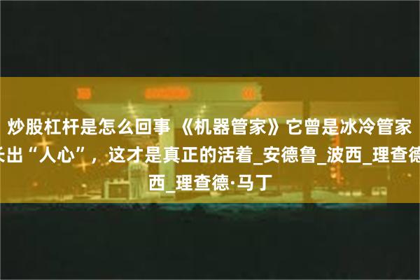 炒股杠杆是怎么回事 《机器管家》它曾是冰冷管家，却长出“人心”，这才是真正的活着_安德鲁_波西_理查德·马丁