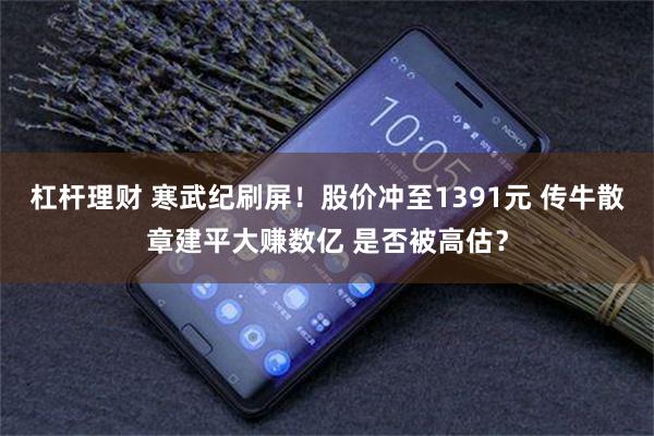 杠杆理财 寒武纪刷屏！股价冲至1391元 传牛散章建平大赚数亿 是否被高估？
