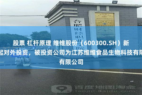 股票 杠杆原理 维维股份（600300.SH）新增一起对外投资，被投资公司为江苏维维食品生物科技有限公司