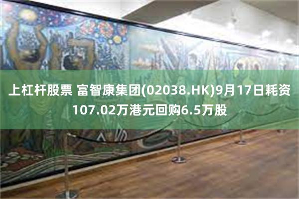 上杠杆股票 富智康集团(02038.HK)9月17日耗资107.02万港元回购6.5万股