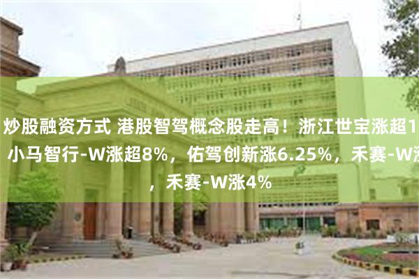 炒股融资方式 港股智驾概念股走高！浙江世宝涨超10%，小马智行-W涨超8%，佑驾创新涨6.25%，禾赛-W涨4%